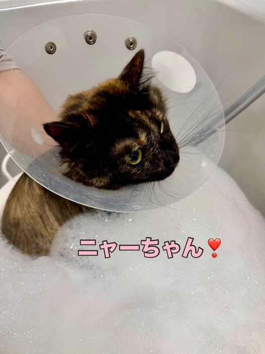 画像1389