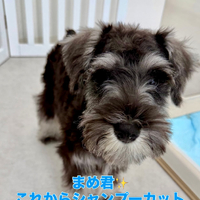 画像1430