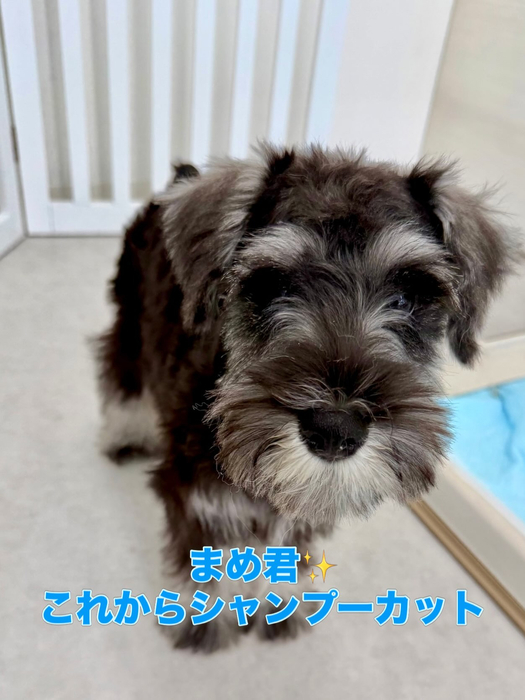 画像1430