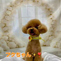 画像1438