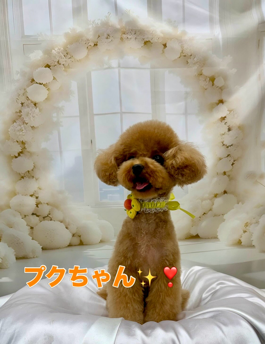 画像1438