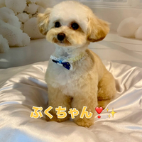 画像1443