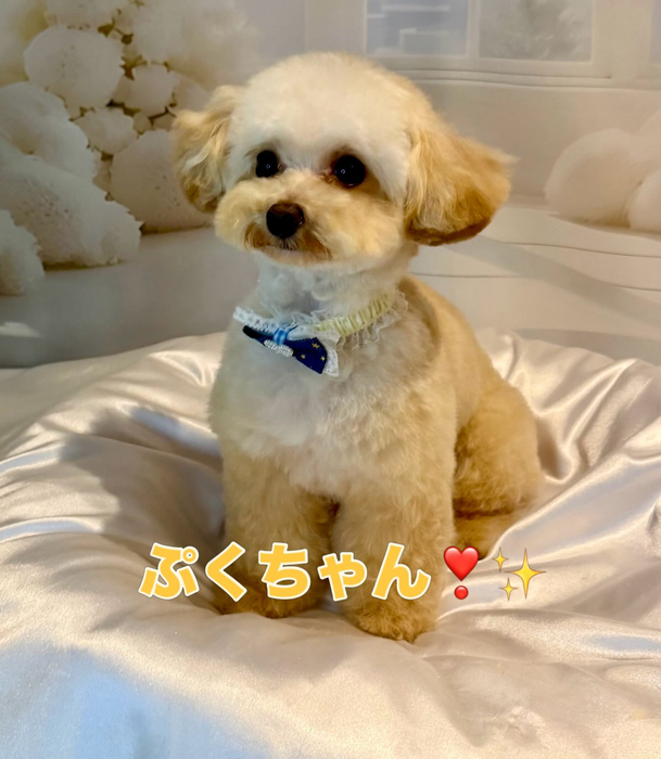 画像1443