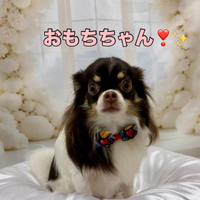 画像1451