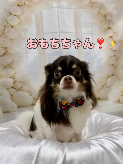 画像1451