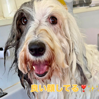 画像1456