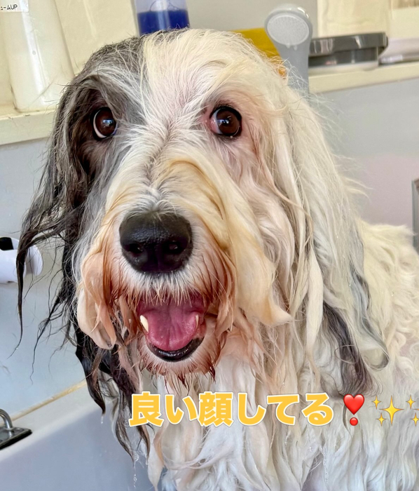 画像1456