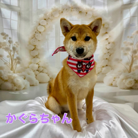 画像1464