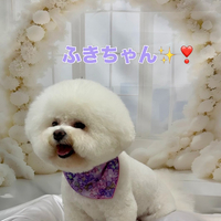 画像1488