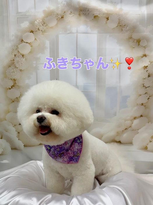 画像1488