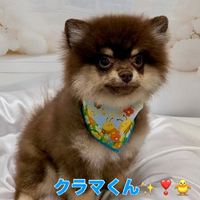 画像1512