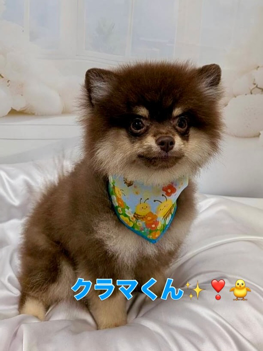 画像1512