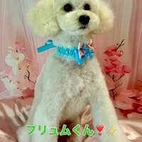 画像1536