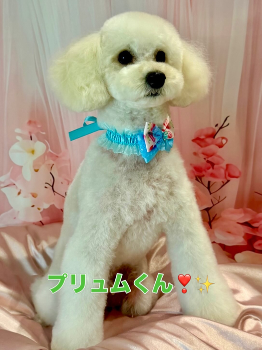 画像1536