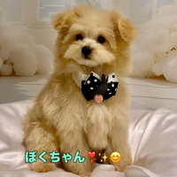 画像1541