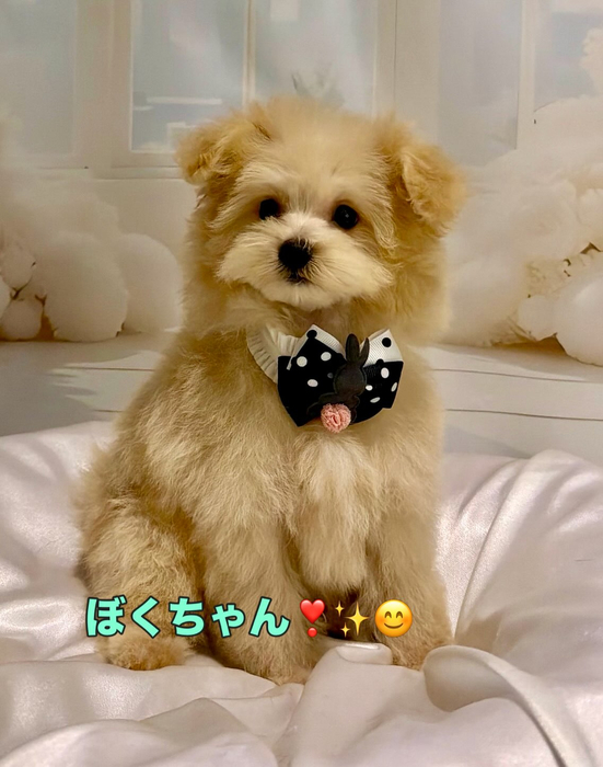画像1541