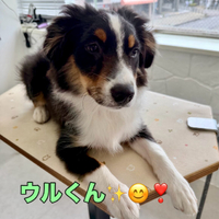 画像1581