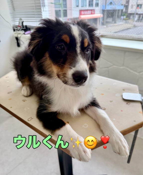 画像1581