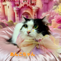 画像1592