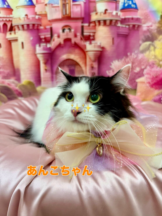 画像1592