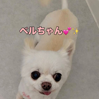 画像1613