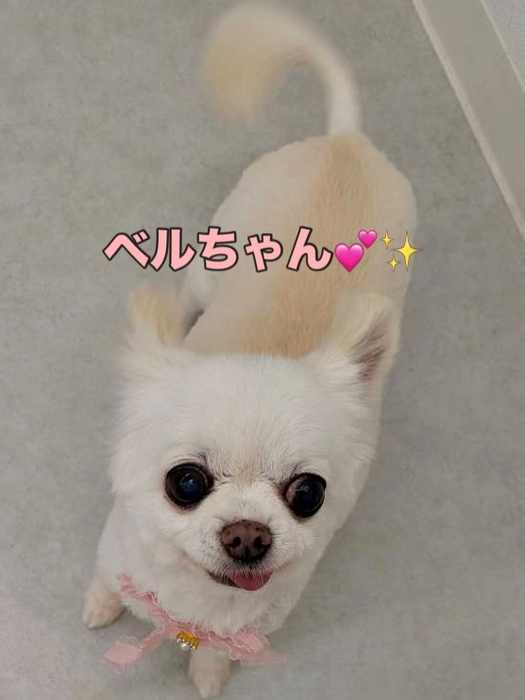 画像1613