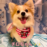 画像1618