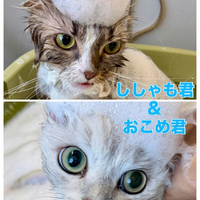 画像1632