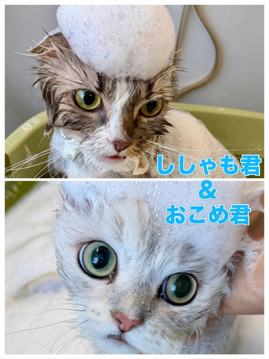 画像1632