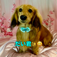 画像1644