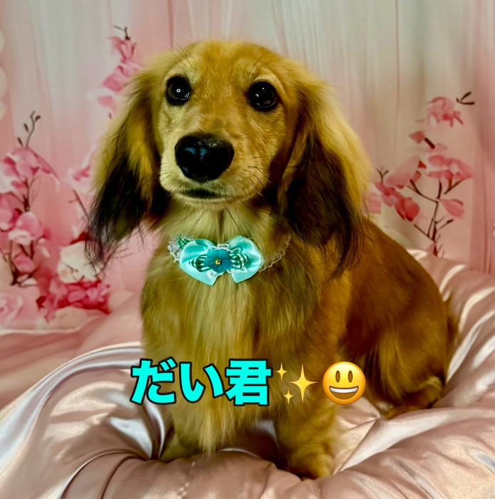 画像1644