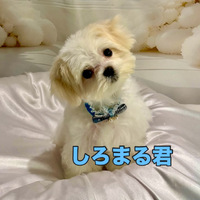 画像1649
