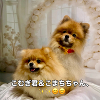 画像1661