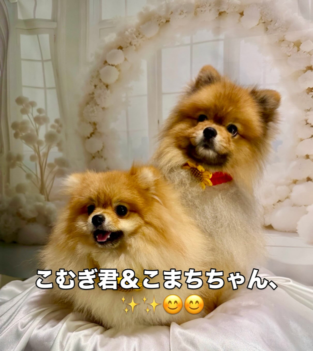 画像1661