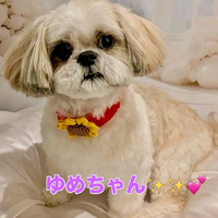 画像1667