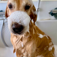 画像1675