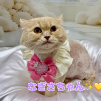 画像1708
