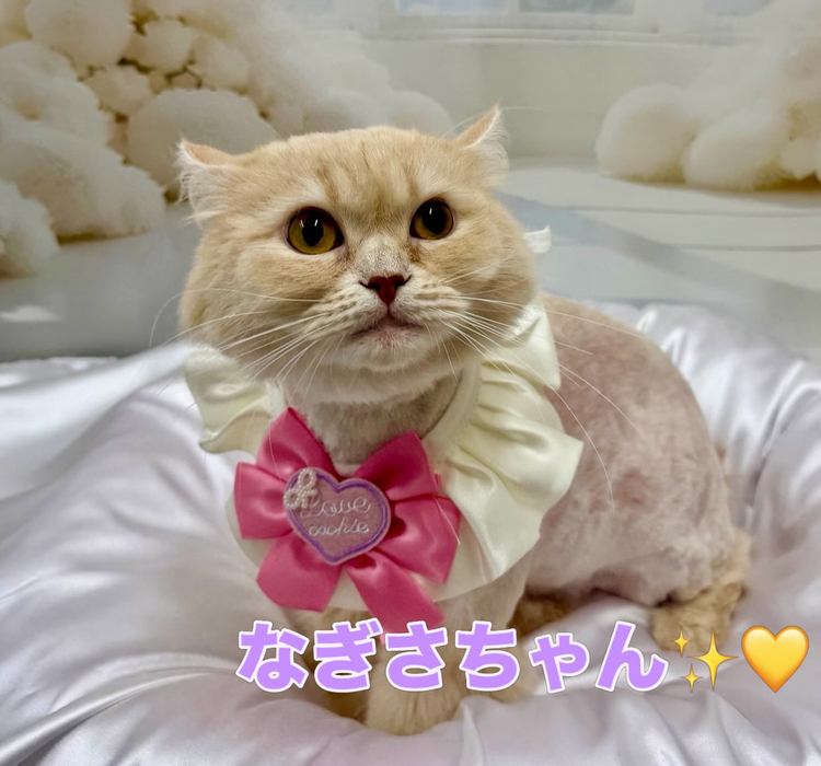 画像1708