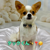 画像1712