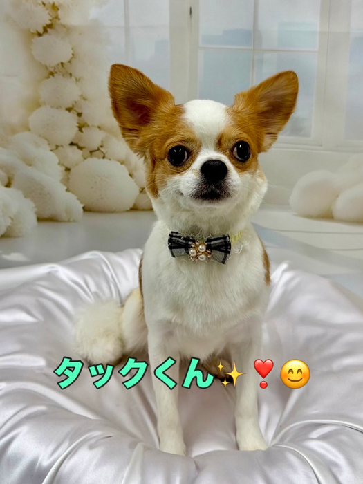 画像1712