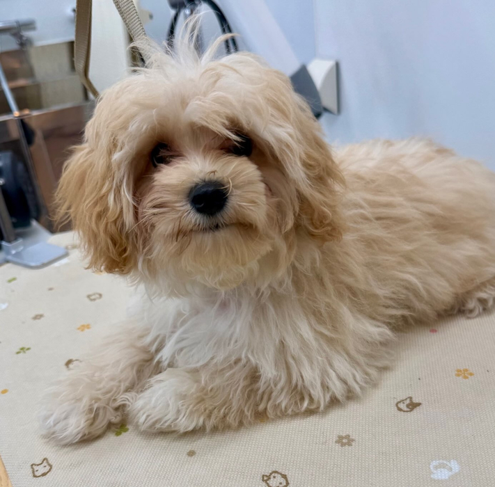 画像1723