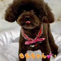 画像1739