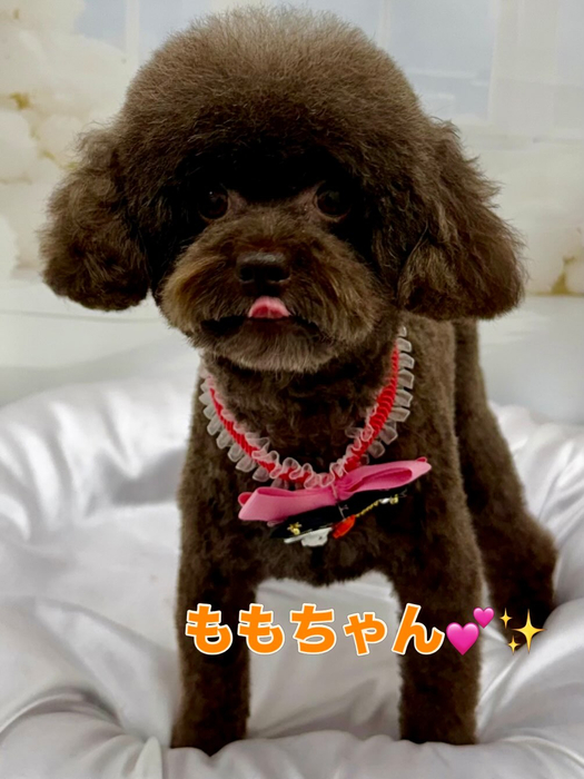 画像1739