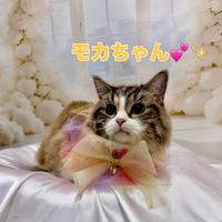 画像1745
