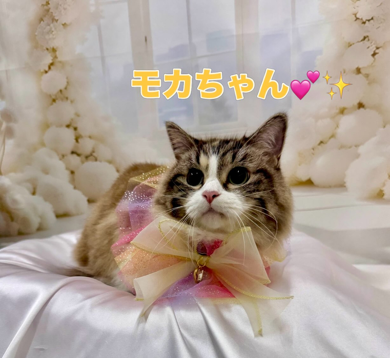画像1745