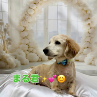 画像1757