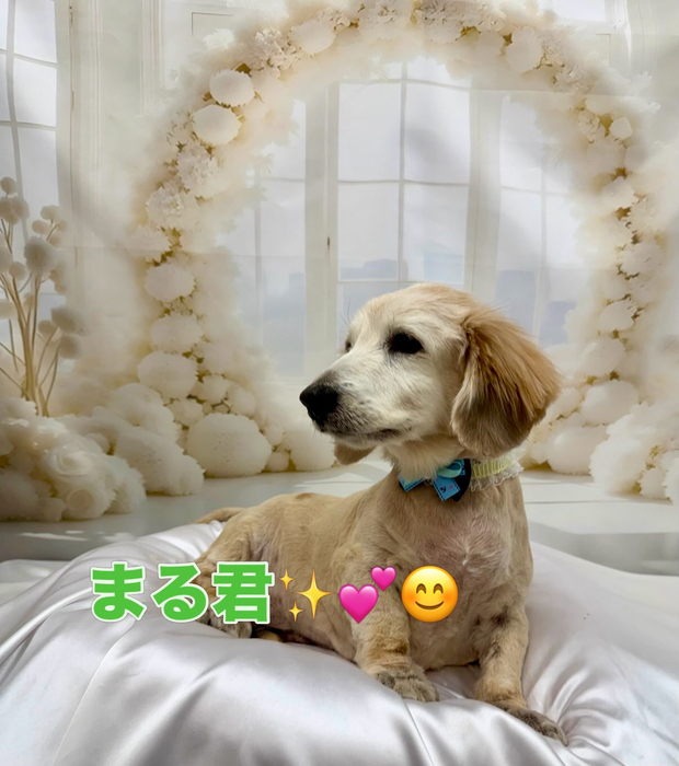 画像1757