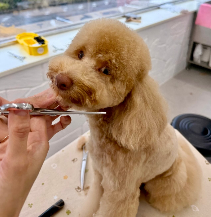 画像1786