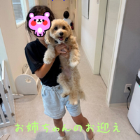 画像1819