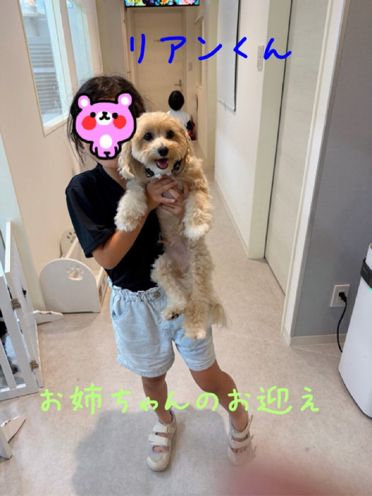画像1819